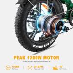 FREESKY 1200W Electric Bike with Full Suspension
