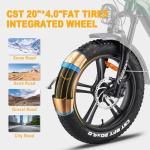 FREESKY 1200W Electric Bike with Full Suspension