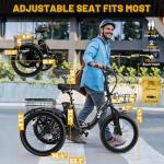 Qlife Triker Electric Folding Bike with 750W Motor