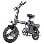 14-Inch Folding Electric Bike with 600W Motor