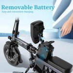 14-Inch Folding Electric Bike with 600W Motor