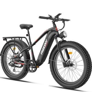 FREESKY 1200W Electric Bike with Fat Tires