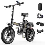 Powerful Folding Electric Bike with Fat Tires