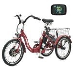 Viribus 20-Inch Folding Electric Tricycle for Adults