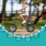 Powerful Folding Electric Bike with Fat Tires