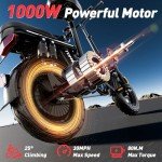 Tomofree High-Speed Foldable Electric Bike for Adults
