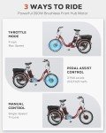 Viribus 20-Inch Folding Electric Tricycle for Adults
