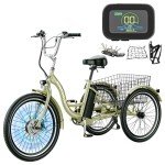 MOONCOOL 350W Electric Tricycle for Adults