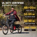 ADDMOTOR CITYTRI E-310 3-Wheel Electric Trike