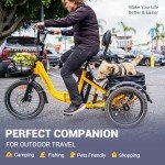 ADDMOTOR CITYTRI E-310 3-Wheel Electric Trike