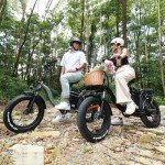 HELLOMOTO 1500W Folding Electric Bike for Adults