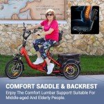 ADDMOTOR CITYTRI E-310 3-Wheel Electric Trike
