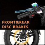 DDC SPORT 48V Folding Electric Bike for Adults
