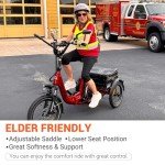 ADDMOTOR CITYTRI E-310 3-Wheel Electric Trike