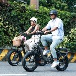 HELLOMOTO 1500W Folding Electric Bike for Adults