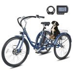 Viribus 350W Electric Tricycle for Adults, Deep Blue