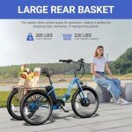 ANCHEER Adult Electric Folding Tricycle - 350W Blue