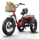 960W Electric Tricycle for Adults – 50-Mile Range