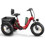 Adult Electric Tricycle with 110 Mile Range