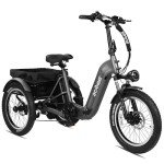 ACTBEST Folding Electric Trike with 750W Motor