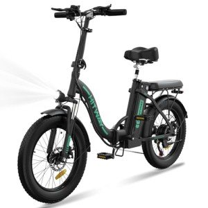 HITWAY 750W 20" Fat Tire Electric Bike