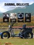 Meetone Adult Dual Motor Electric Tricycle, 130 Miles