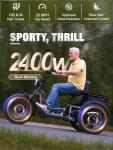 Meetone Adult Dual Motor Electric Tricycle, 130 Miles