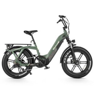 750W Electric Step-Thru Bicycle with Fat Tire