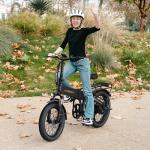 Heybike Mars Foldable Electric Fat Tire Bike
