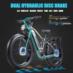 2000W Dual Motor Electric Bike with Removable Battery