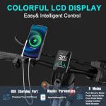 2000W Dual Motor Electric Bike with Removable Battery