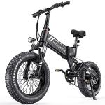Wooken 750W Foldable Electric Bike with Fat Tires