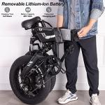 Wooken 750W Foldable Electric Bike with Fat Tires