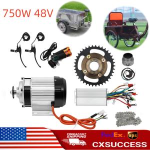 750W Electric 3-Wheel E-Tricycle with Brushless Motor