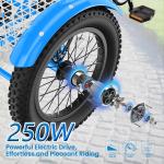 NAIZEA 16" Electric Tricycle for Kids Ages 6-16