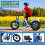 NAIZEA 16" Electric Tricycle for Kids Ages 6-16