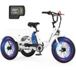 NAIZEA 16" Electric Fat Tire Tricycle 250W