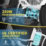 NAIZEA 16" Electric Fat Tire Tricycle 250W