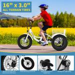 NAIZEA 16" Electric Fat Tire Tricycle 250W