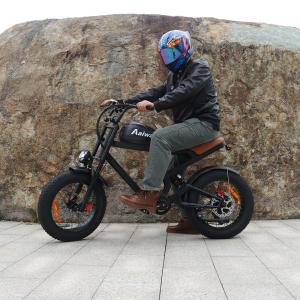 Electric Mountain Bike 38MPH, 85-Mile Range