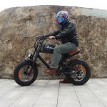 Electric Mountain Bike 38MPH, 85-Mile Range
