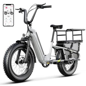 1500W Electric Bike for Commuting and Adventure