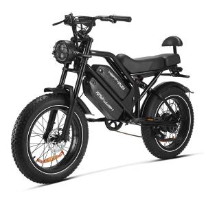 Happyrun Dual Battery 2000W Electric Bike 36MPH