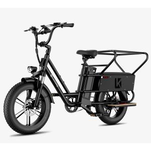Luckeep 2-Seater 20" 1400W Cargo Electric Bike