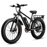 1000W 48V Electric Mountain Bike with Fat Tires