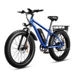 1000W 48V Fat Tire Electric Mountain Bike