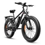 1000W 48V Electric Mountain Bike with Fat Tires