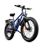 1000W 48V Fat Tire Electric Mountain Bike