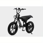 1000W All-Terrain Electric Mountain Bike