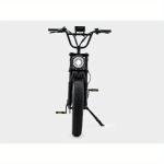 1000W All-Terrain Electric Mountain Bike